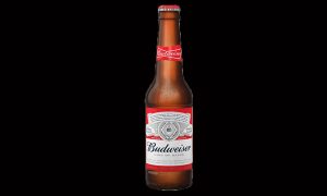 Budweiser 50 cl